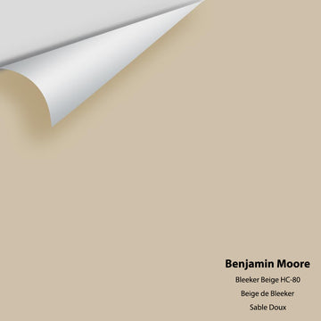 Big Paint Chip - Bleeker Beige HC-80