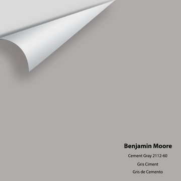 Big Paint Chip - Cement Gray 2112-60