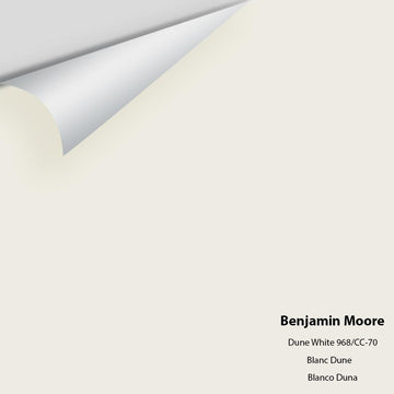 Big Paint Chip - Dune White 968 / CC-70