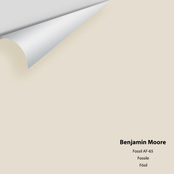 Big Paint Chip - Fossil AF-65