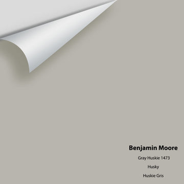Big Paint Chip - Gray Husky 1473