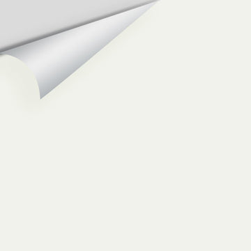 Big Paint Chip - Oxford White 869 / CC-30