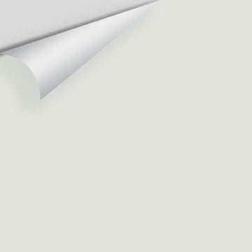 Big Paint Chip - Paper White 1590 / OC-55