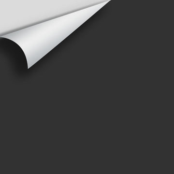 In Stock - Big Paint Chips - Blacks