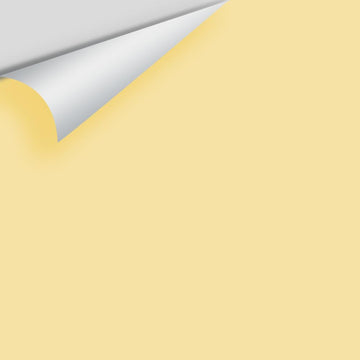 In Stock - Big Paint Chips - Yellows & Golds