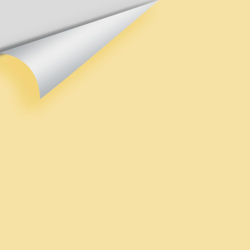 In Stock - Big Paint Chips - Yellows & Golds
