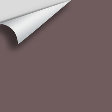 In Stock - Big Paint Chips - Earth Shades