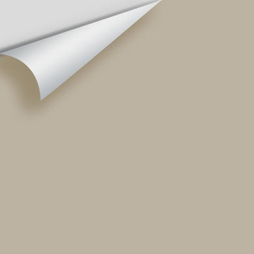 In Stock - Big Paint Chips - Greiges