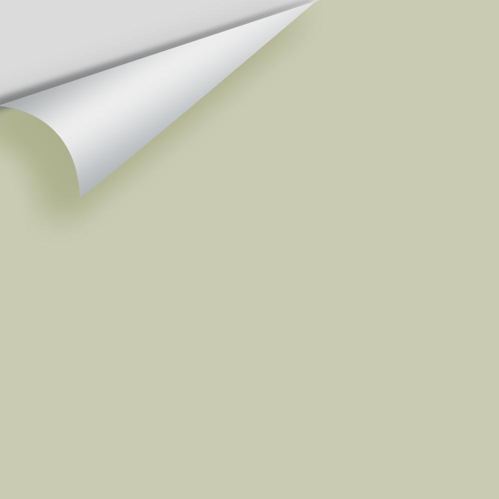 In Stock - Big Paint Chips - Greens