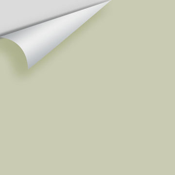 In Stock - Big Paint Chips - Greens