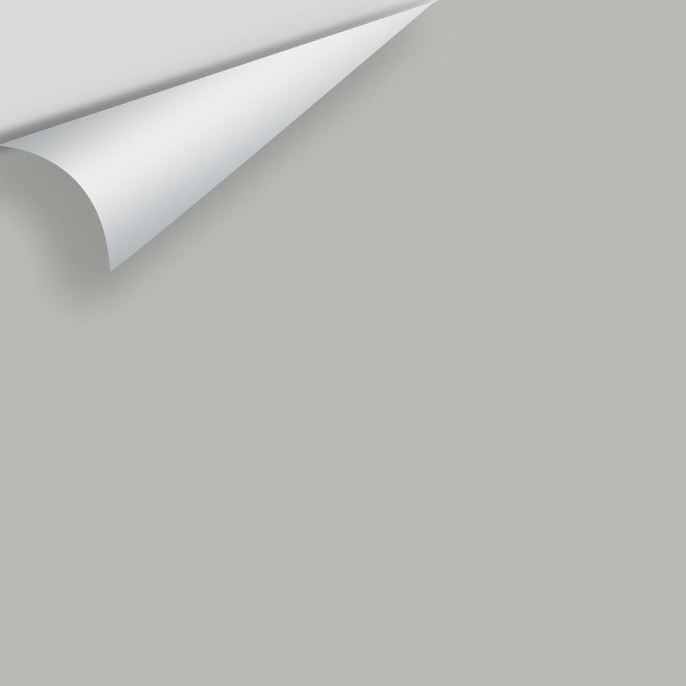 In Stock - Big Paint Chips - Grays