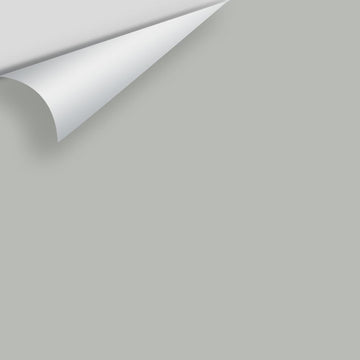 In Stock - Big Paint Chips - Grays