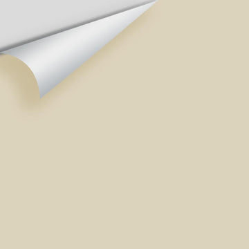 In Stock - Big Paint Chips - Neutrals