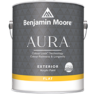 Aura Exterior Paint Flat F629