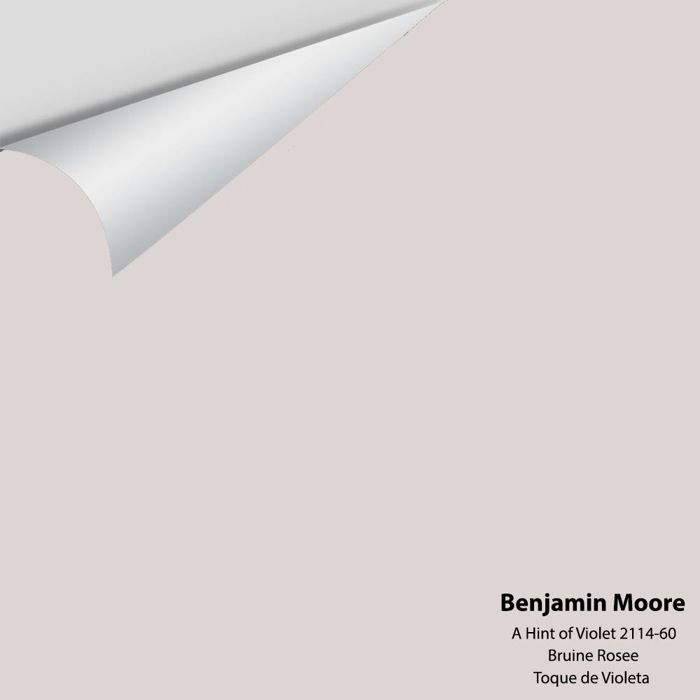 Big Paint Chip - Hint of Violet 2114-60