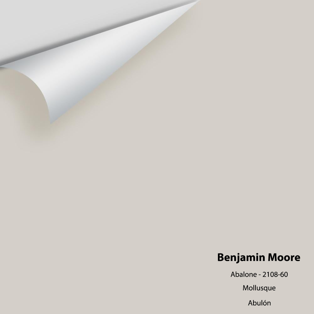 Big Paint Chip - Abalone 2108-60