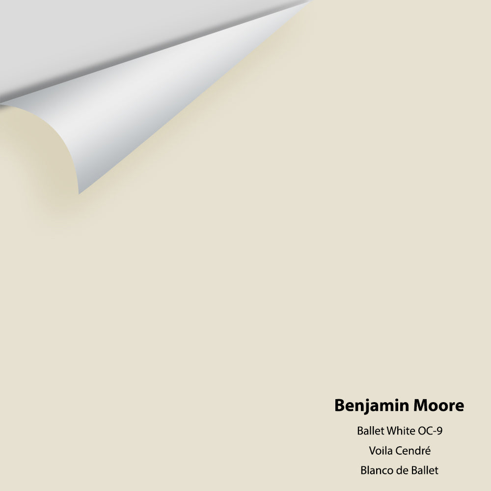 Big Paint Chip - Ballet White OC-9
