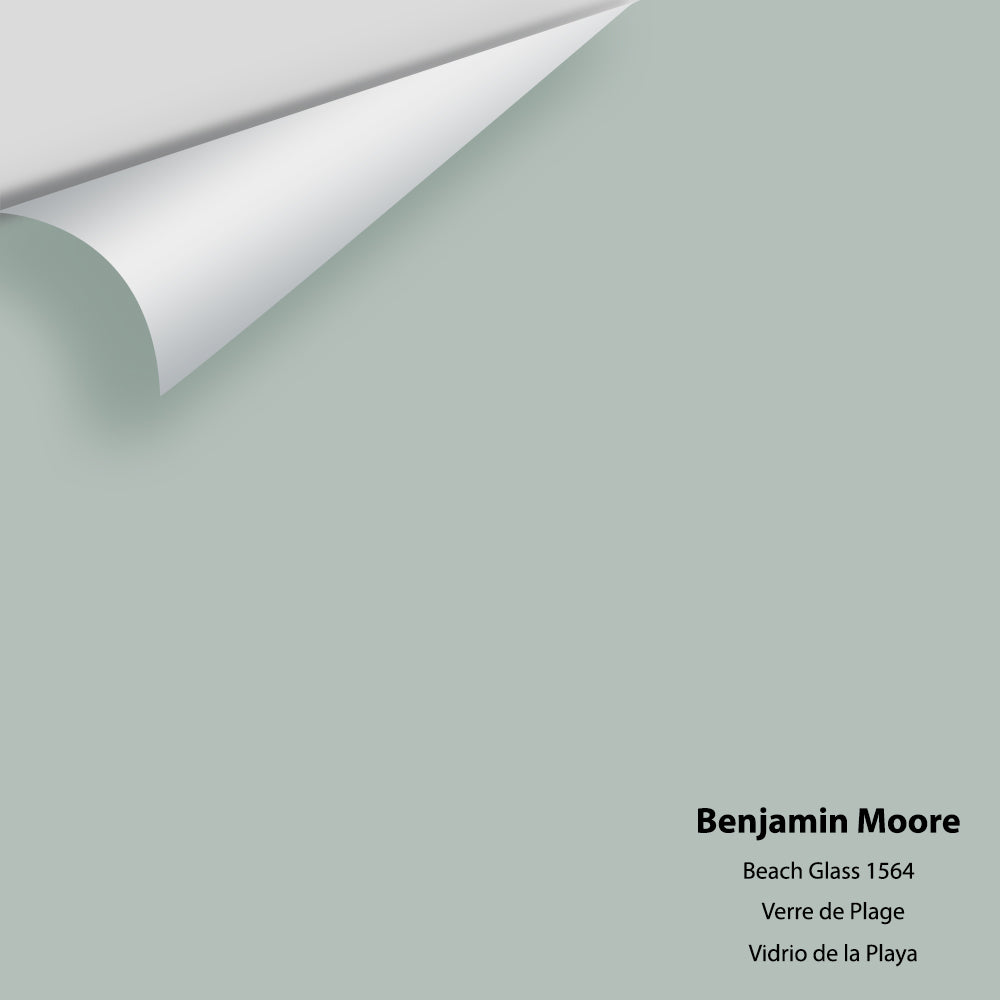 Big Paint Chip - Beach Glass 1564