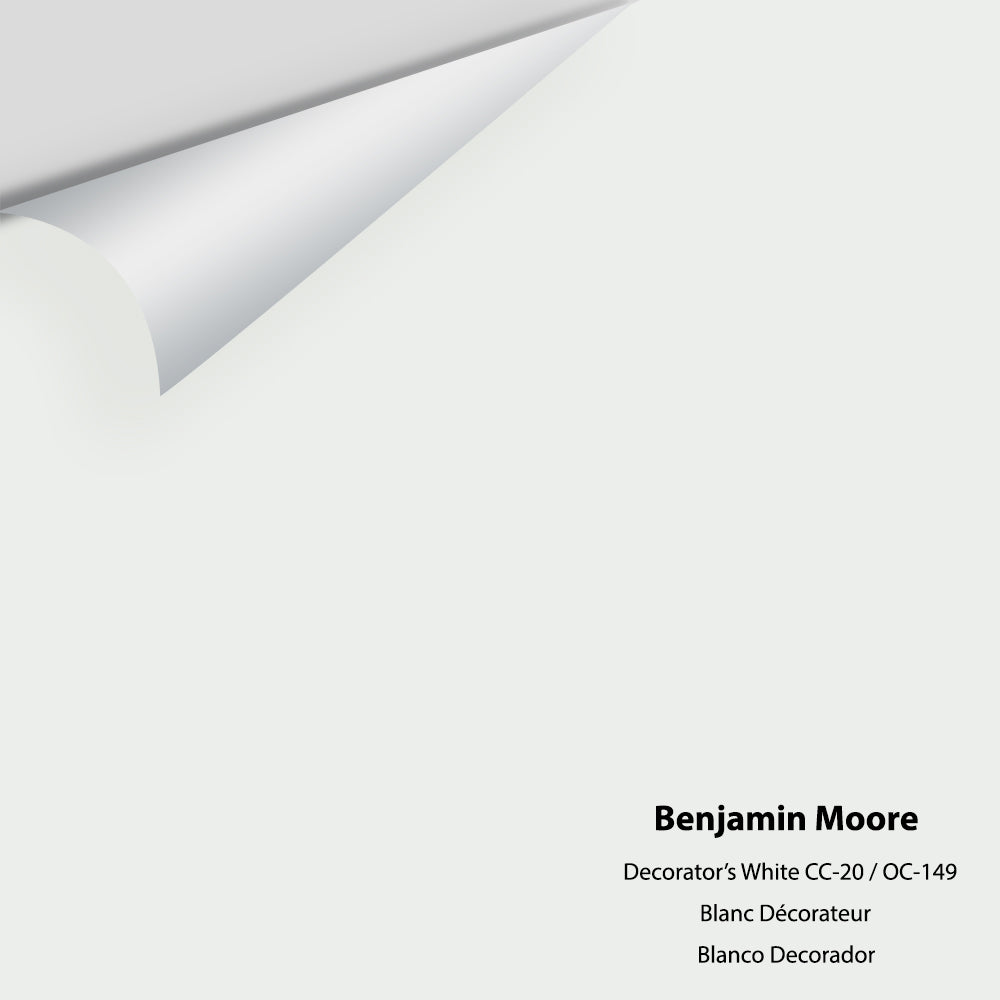Big Paint Chip - Decorator's White CC-20 / OC-149