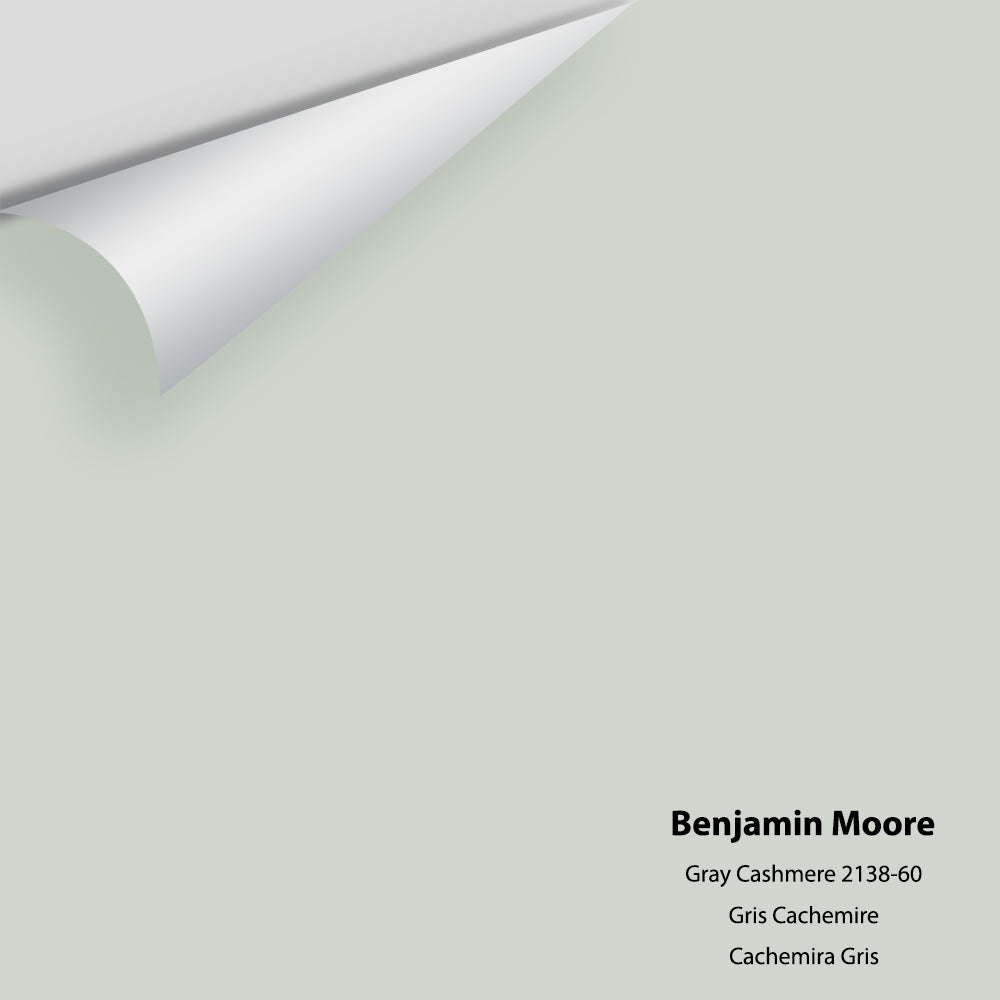 Big Paint Chip - Gray Cashmere 2138-60
