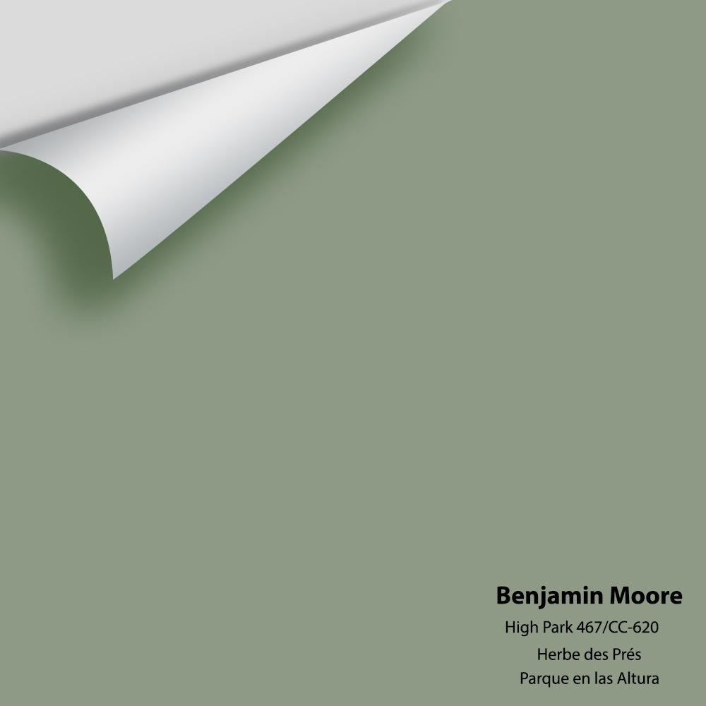 Big Paint Chip - High Park CC-620/467