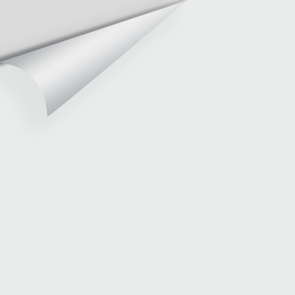 Big Paint Chip - Misty Gray 2124-60