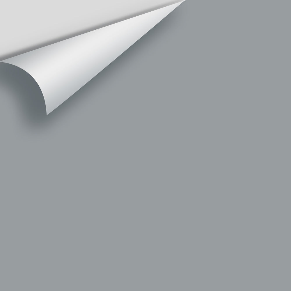 Big Paint Chip - Pewter 2121-30
