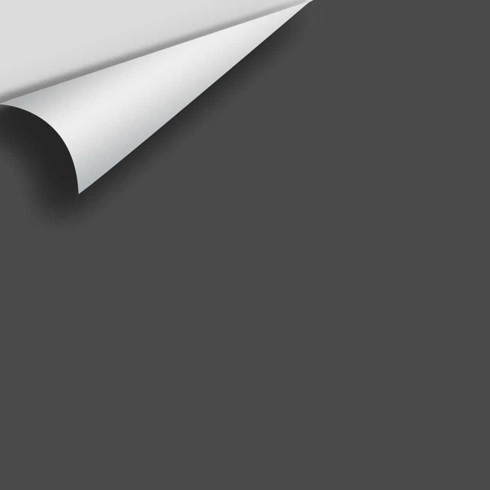 Big Paint Chip - Wrought Iron 2124-10