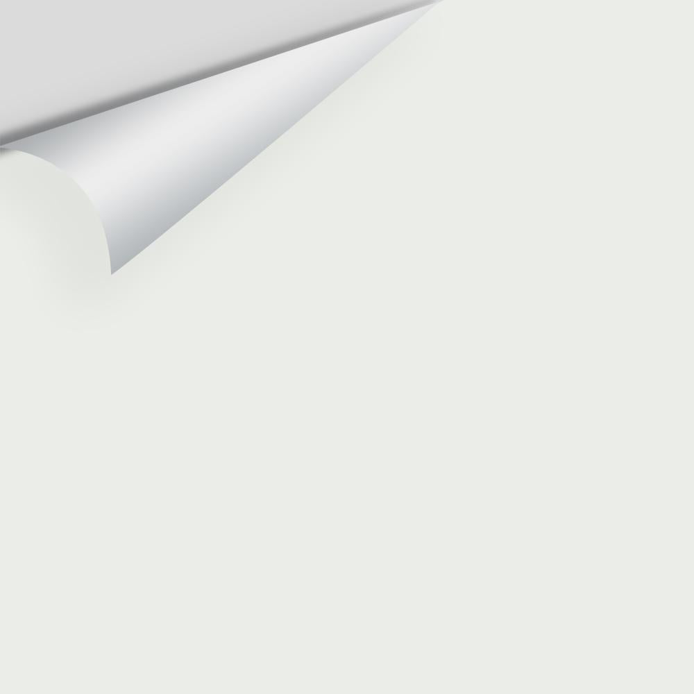 Big Paint Chip - Baby's Breath 873 / OC-62
