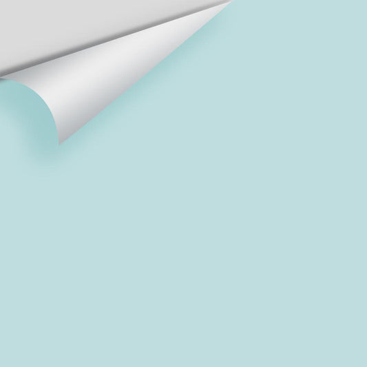 Big Paint Chip - Bird's Egg 2051-60 – Kanata Paint