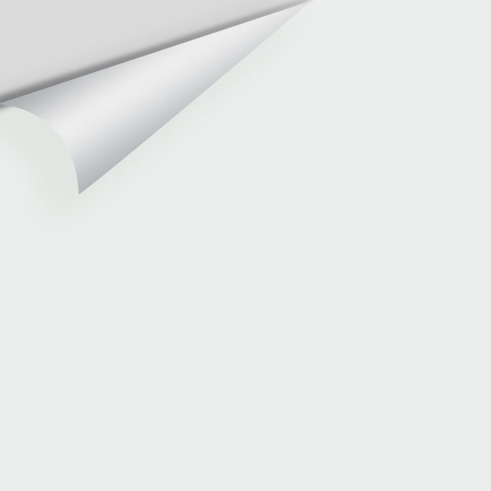 Big Paint Chip - Chalk White 2126-70