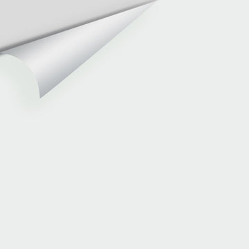 Big Paint Chip - Chalk White 2126-70