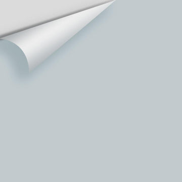 Big Paint Chip - Gentle Gray 1626