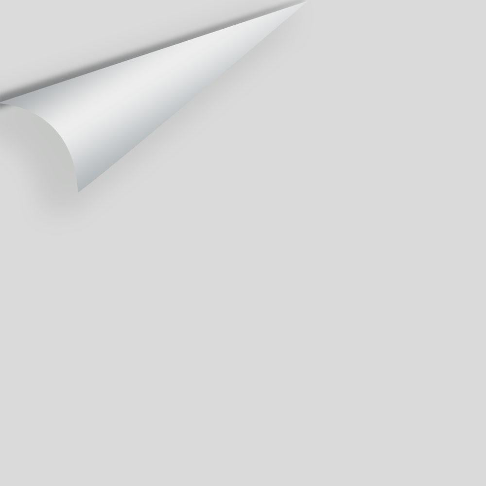 Big Paint Chip - Graytint 1611