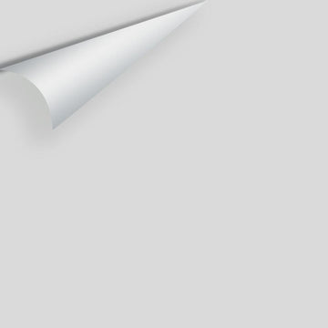 Big Paint Chip - Graytint 1611