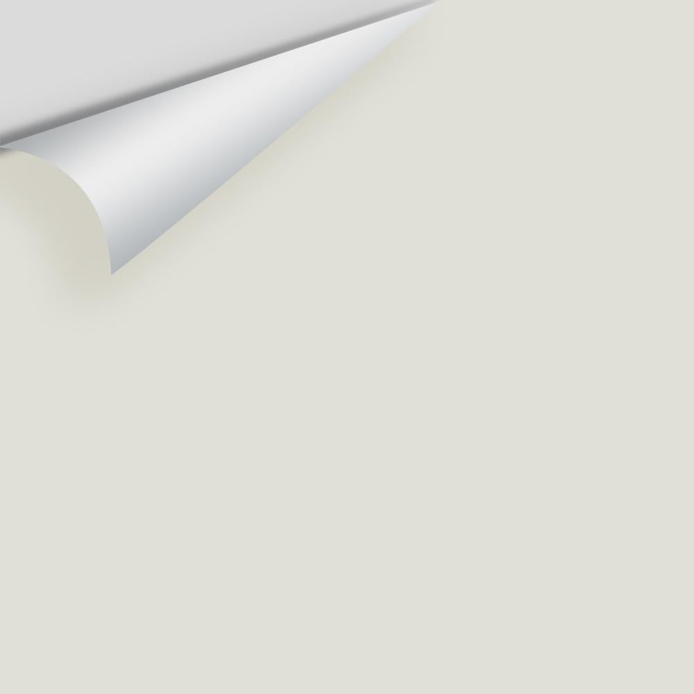Big Paint Chip - Intense White OC-51