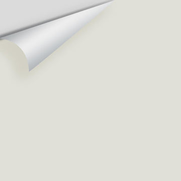 Big Paint Chip - Intense White OC-51