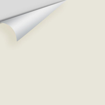 Big Paint Chip - Seapearl 961 / OC-19