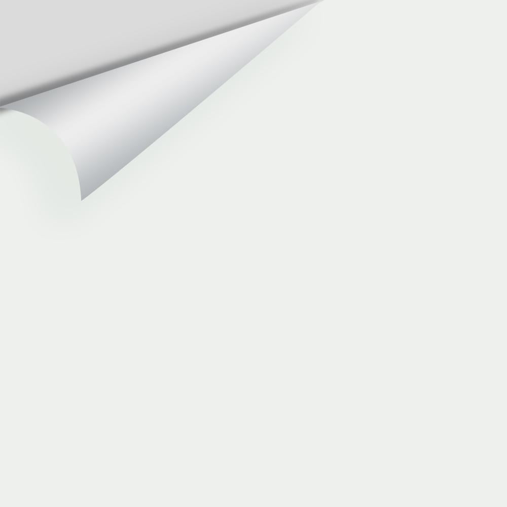 Big Paint Chip - White Diamond 2121-60 / OC-61