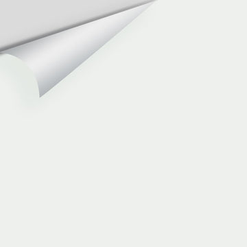 Big Paint Chip - White Diamond 2121-60 / OC-61