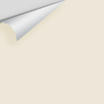 Big Paint Chip - White Down 970 / CC-50 / OC-131