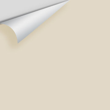 Big Paint Chip - White Sand 964 / OC-10