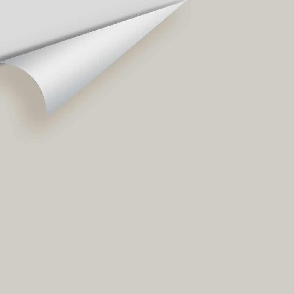 Big Paint Chip - Wish AF-680