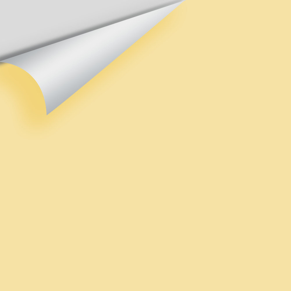 Big Paint Chip - Hawthorne Yellow HC-4