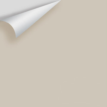 Big Paint Chip - Revere Pewter HC-172