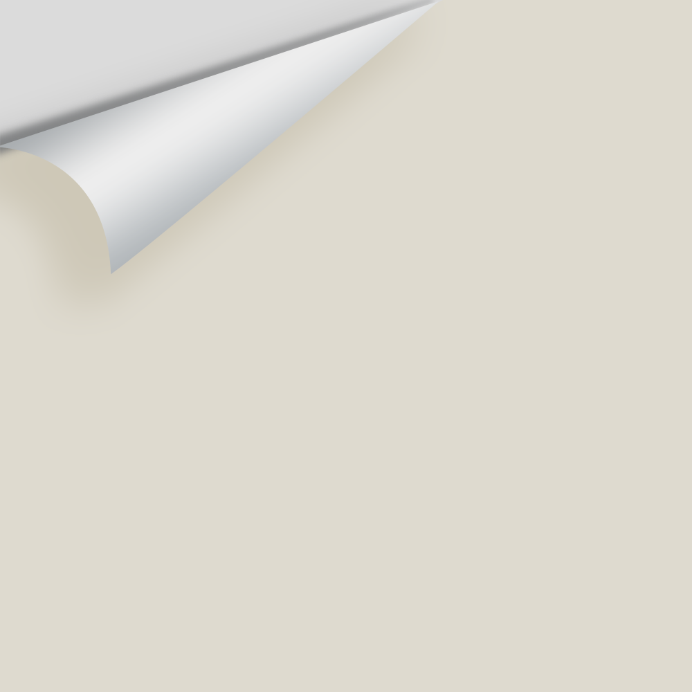 Big Paint Chip - Pale Oak OC-20