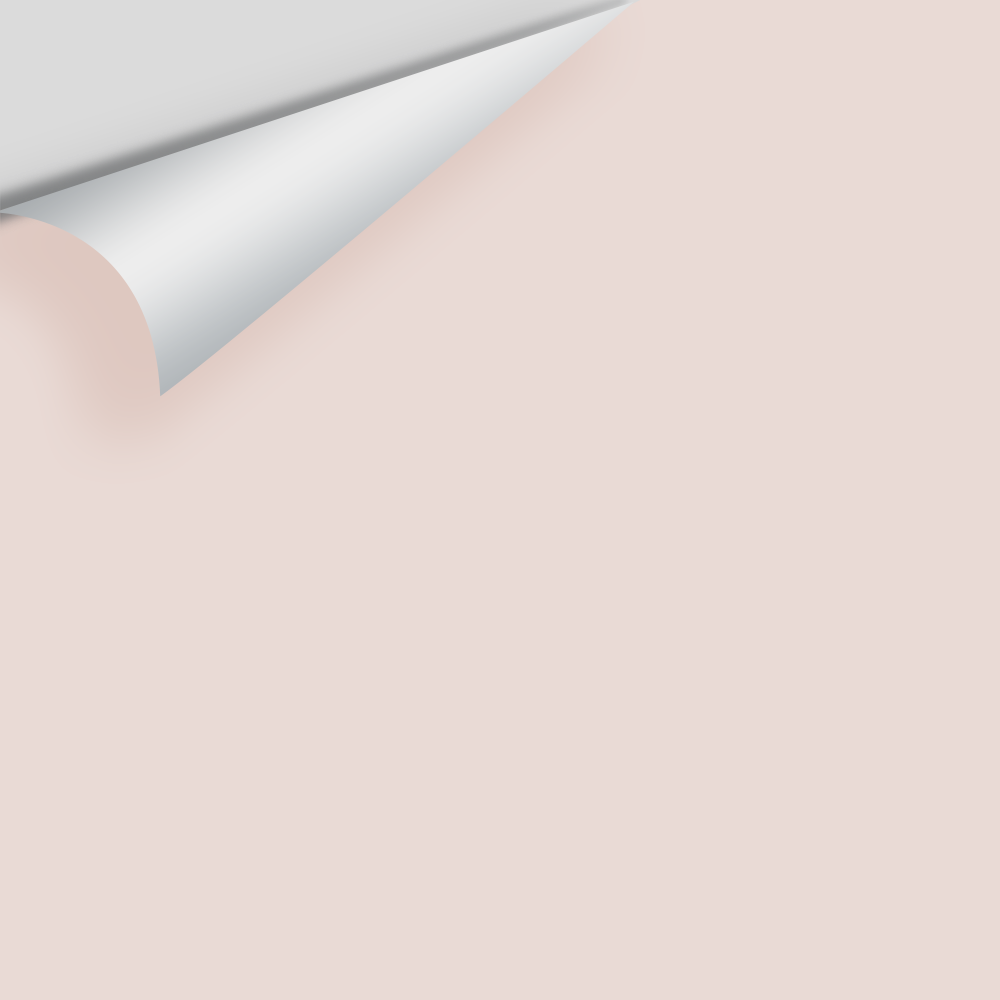 Big Paint Chip - Proposal AF-260