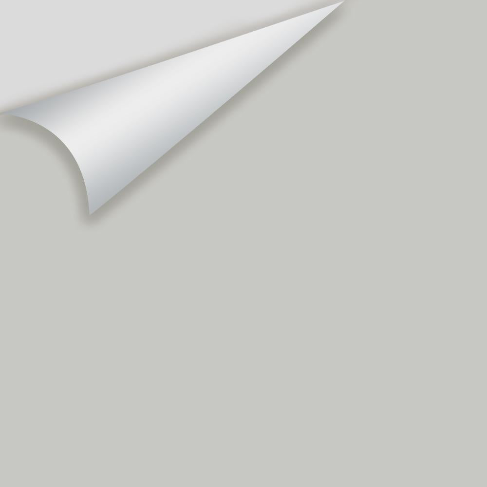 Big Paint Chip - Silver Chain 1472