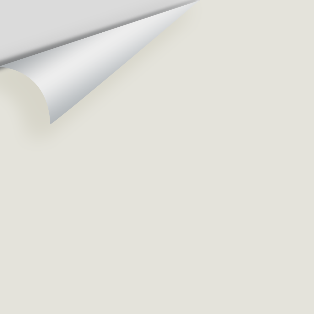 Big Paint Chip - Silver Satin 856 / OC-26