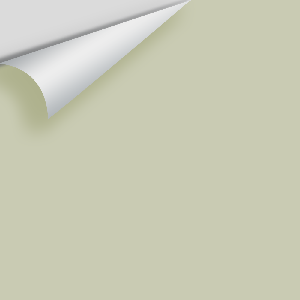 Big Paint Chip - Soft Fern 2144-40